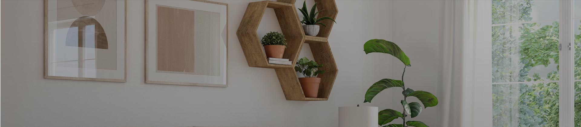 Room with plants on shelves