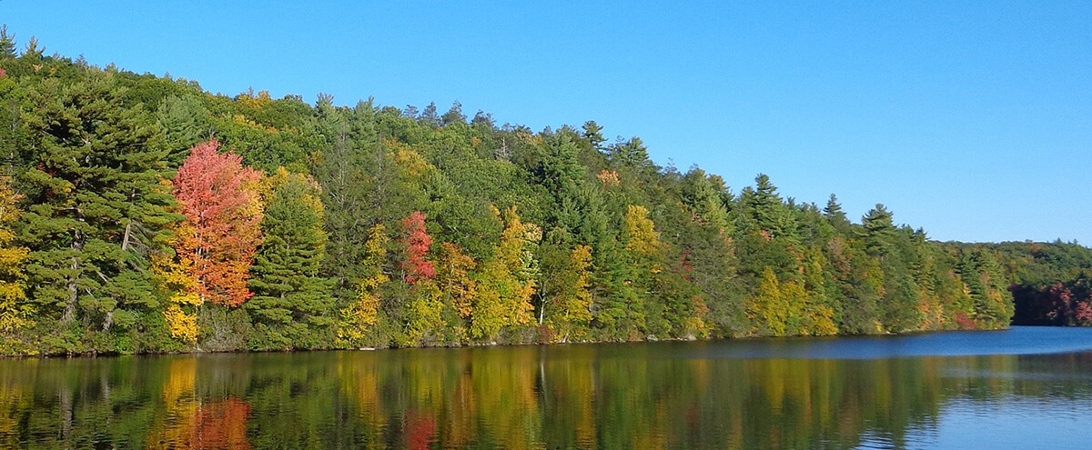river with trees and fall foliage along it river with trees and fall foliage along it