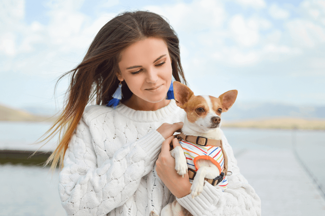 7 Tips for Mastering Travel Therapy with Pets 7 Tips for Mastering Travel Therapy with Pets