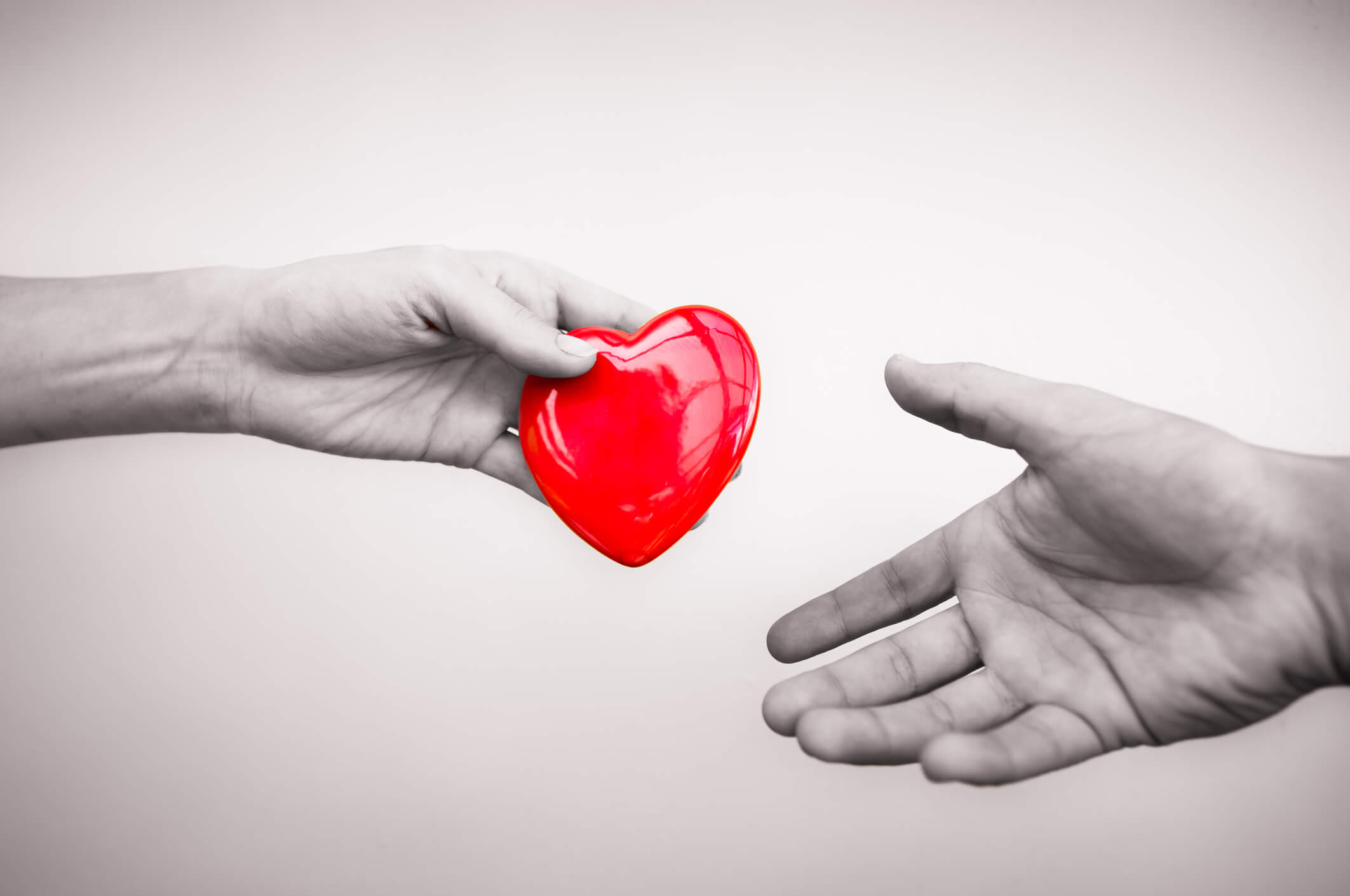 Two hands in shades of grey passing a red heart Two hands in shades of grey passing a red heart