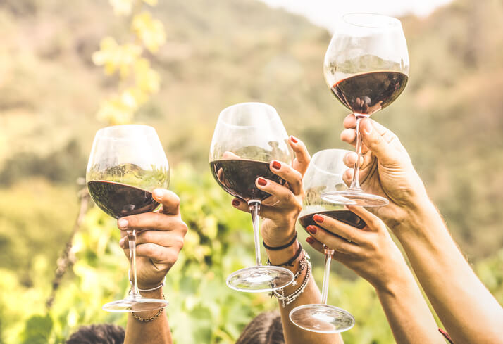 wine glasses toasting friends wine glasses toasting friends