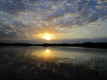 You'll quickly understand why the Florida Everglades are such a photographer's dream.