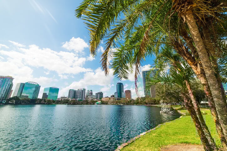 Palm tree water and buildings in Orlando Palm tree water and buildings in Orlando
