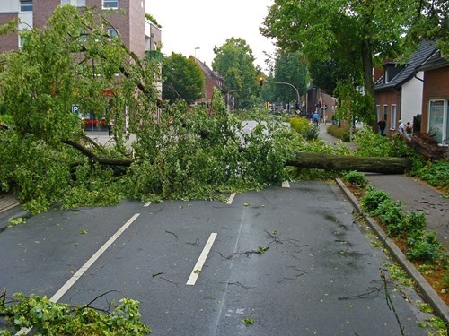 trees down in middle of city street after tornado trees down in middle of city street after tornado