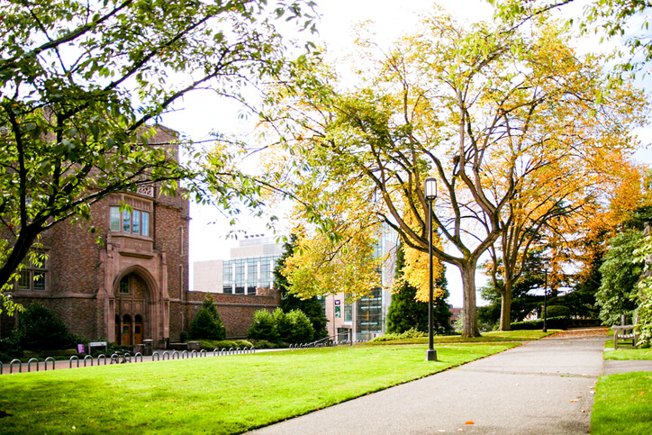 Washington University St Louis Washington University St Louis
