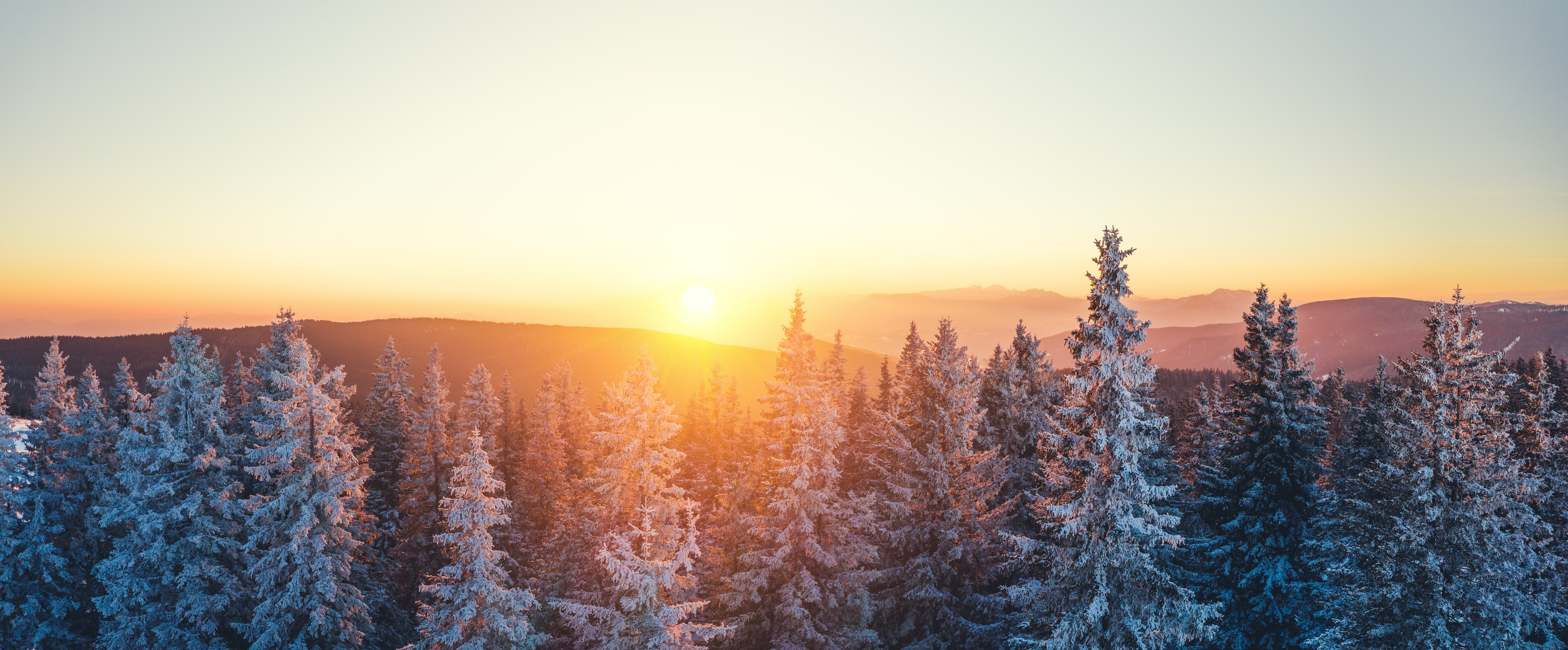 sunset above forest sunset above forest