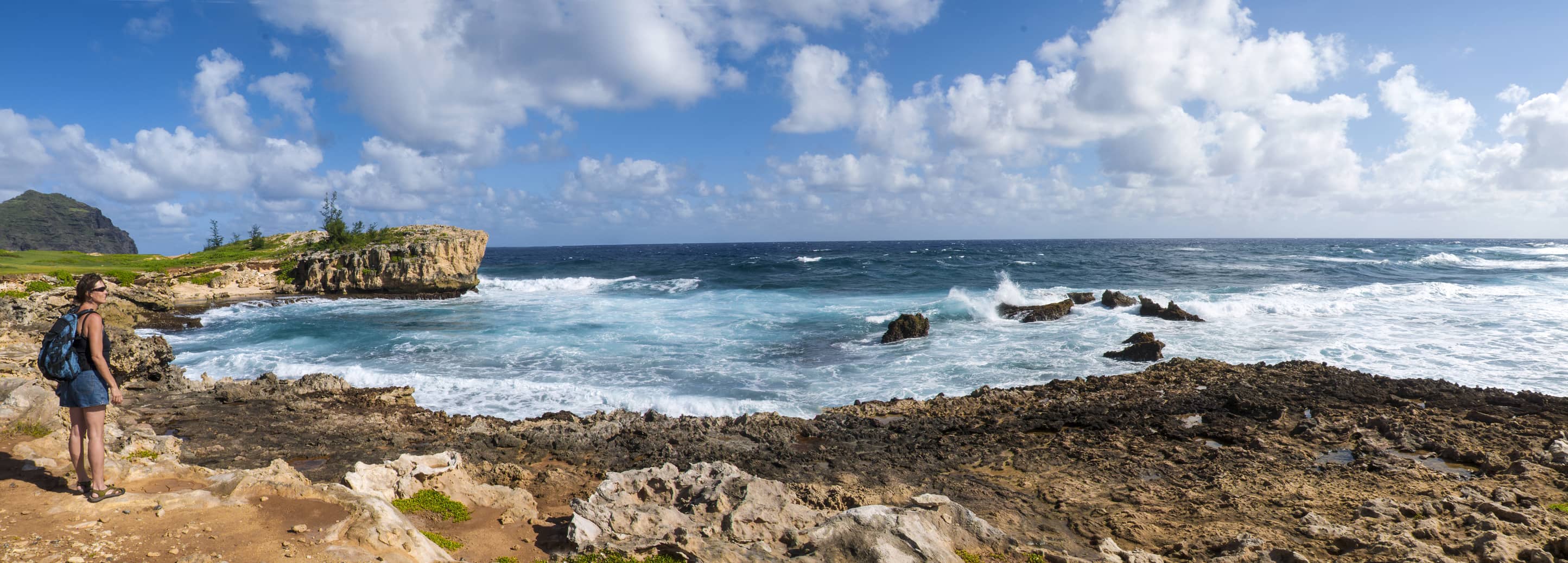 Allied traveler taking in the Pacific Ocean on the coast of Hawaii