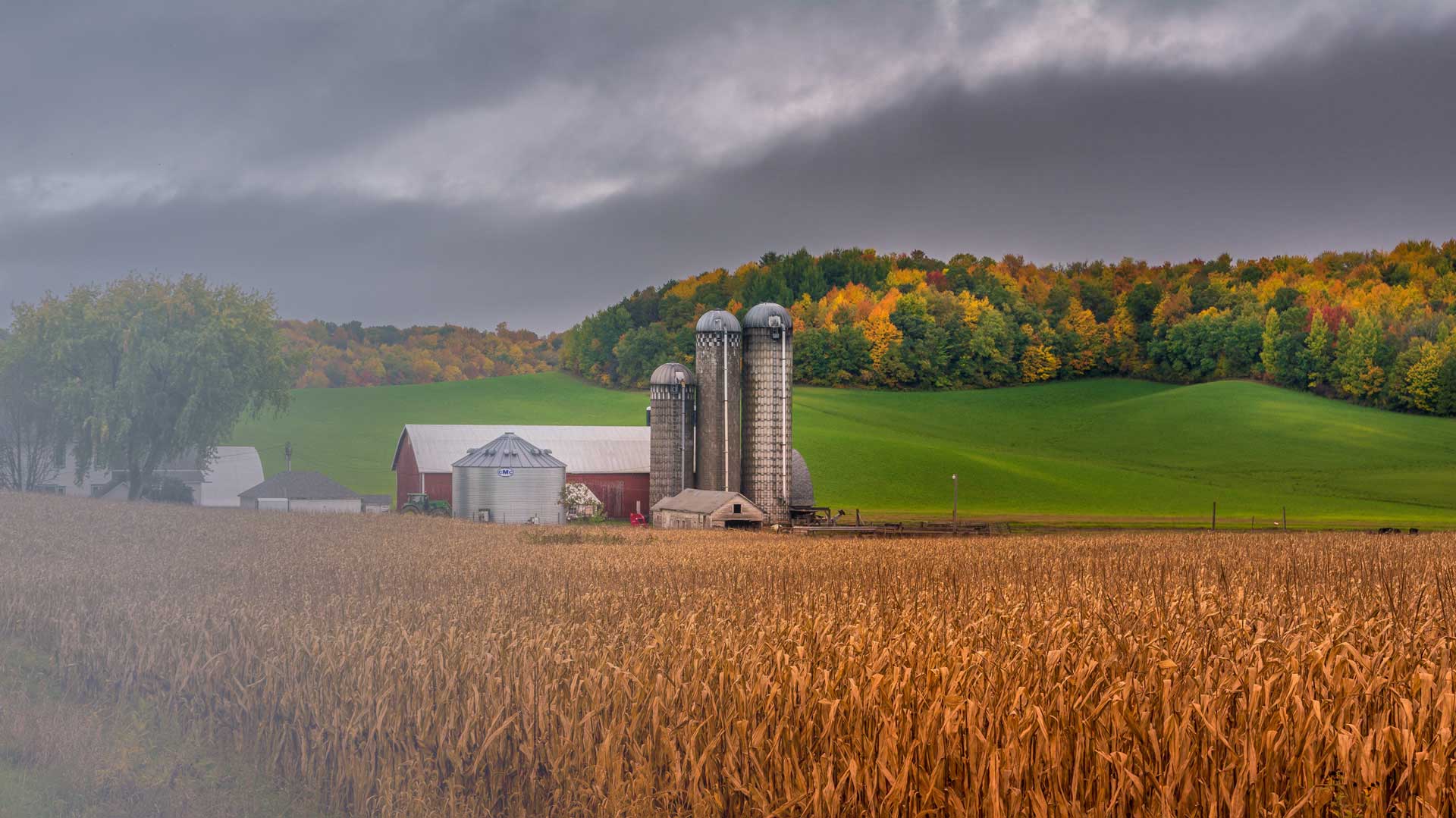 Wisconsin farmhouse surrounded by field of wheat Wisconsin farmhouse surrounded by field of wheat