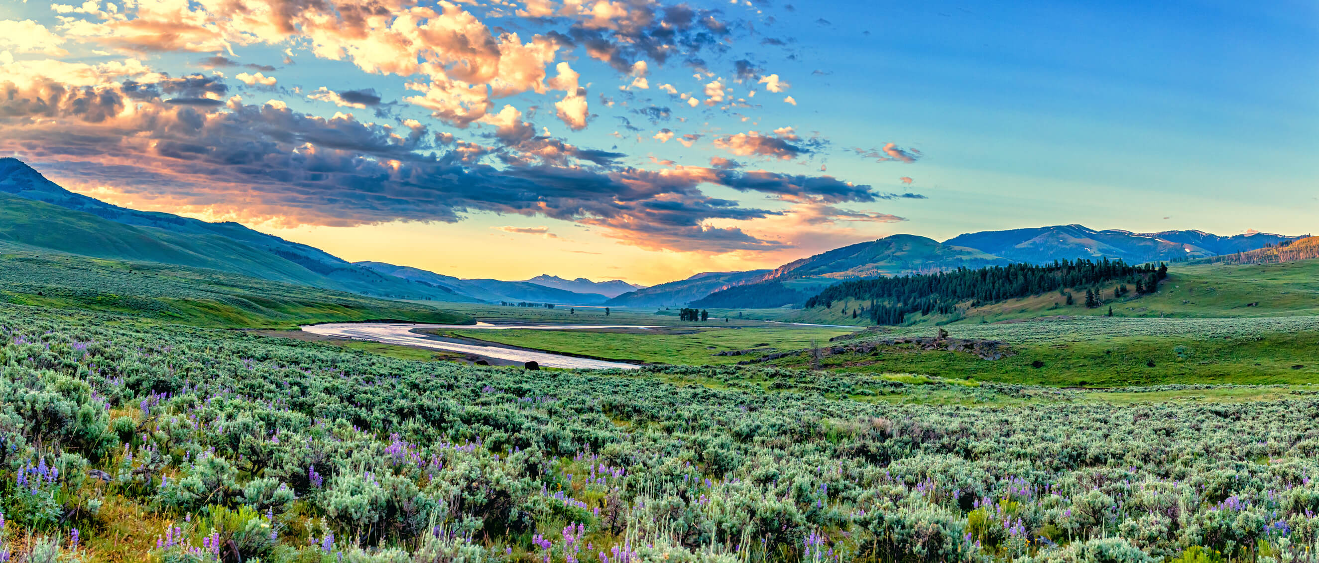 sunset landscape of wyoming sunset landscape of wyoming
